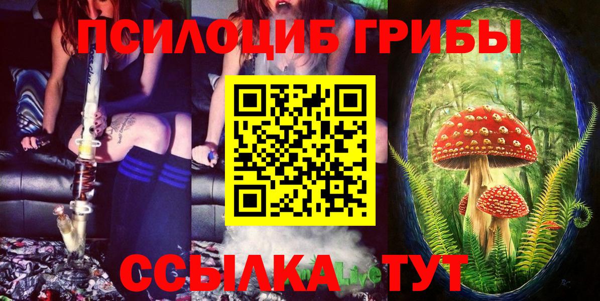 Галлюциногенные грибы GOLDEN TEACHER Элиста