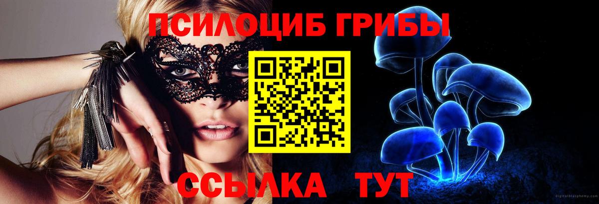 Элиста  Галлюциногенные грибы Cubensis  Галлюциногенные грибы Psilocybine cubensis  Вход с VPN 